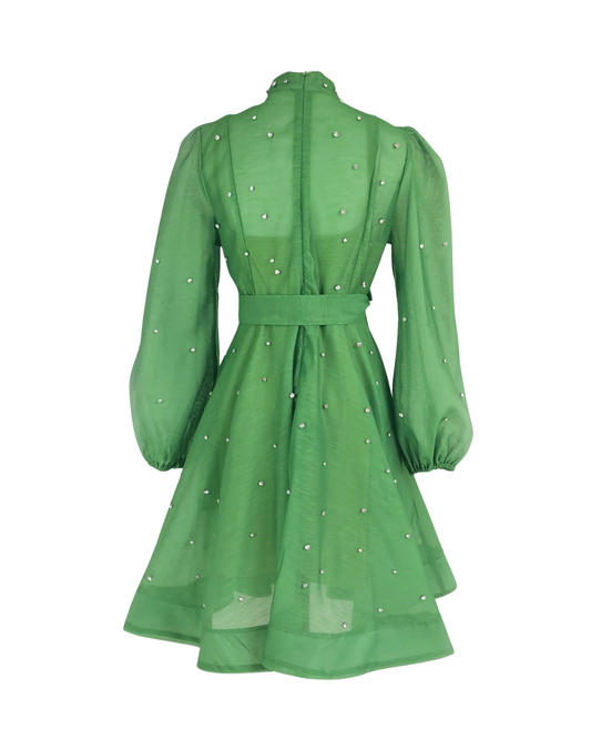 Colette Green Embellished Button Mini Dress