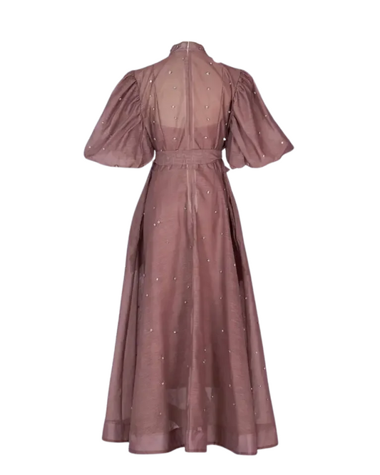 Colette Plum Embellished Button Midaxi Dress