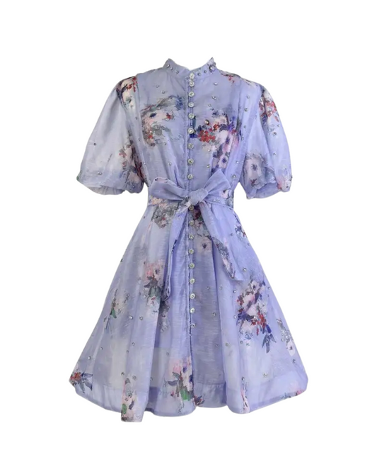 Colette Blue Floral Embellished Button Mini Dress