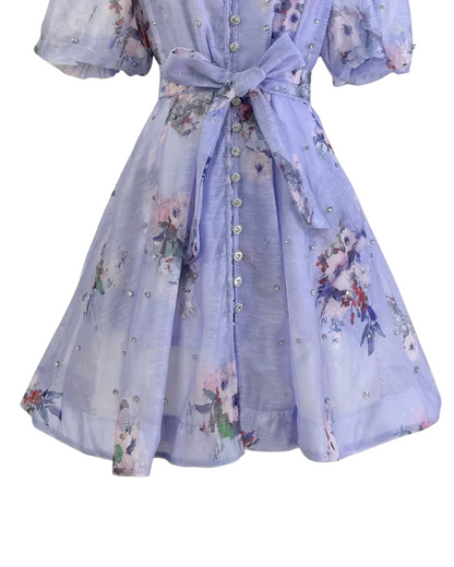 Colette Blue Floral Embellished Button Mini Dress